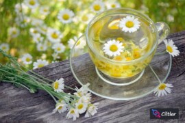 Papatya Suyu Faydaları: Doğanın Şifalı İksiri