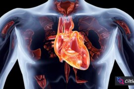 Vücut Yanmasına Ne iyi Gelir? Doğanın Şifalı İksirleri!