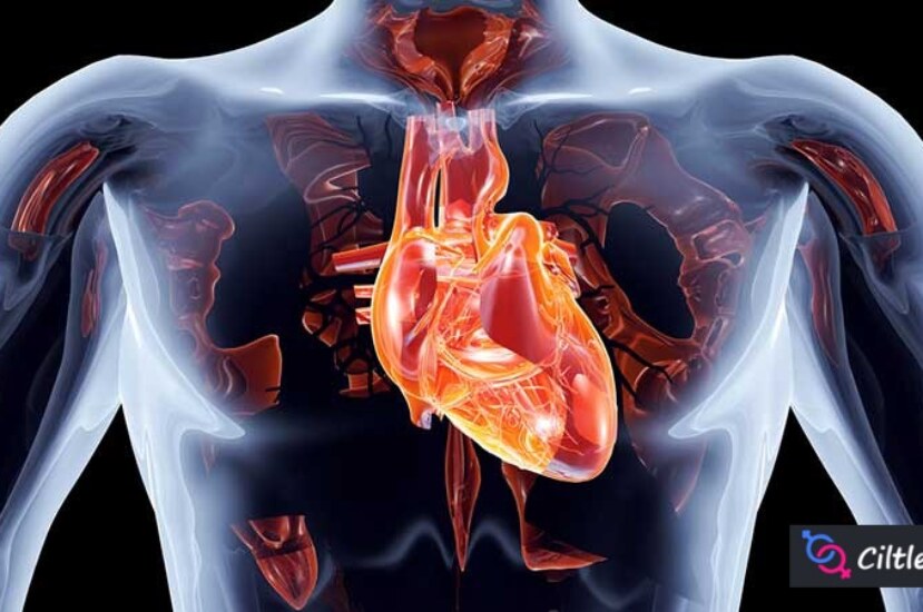 Vücut Yanmasına Ne iyi Gelir? Doğanın Şifalı İksirleri!